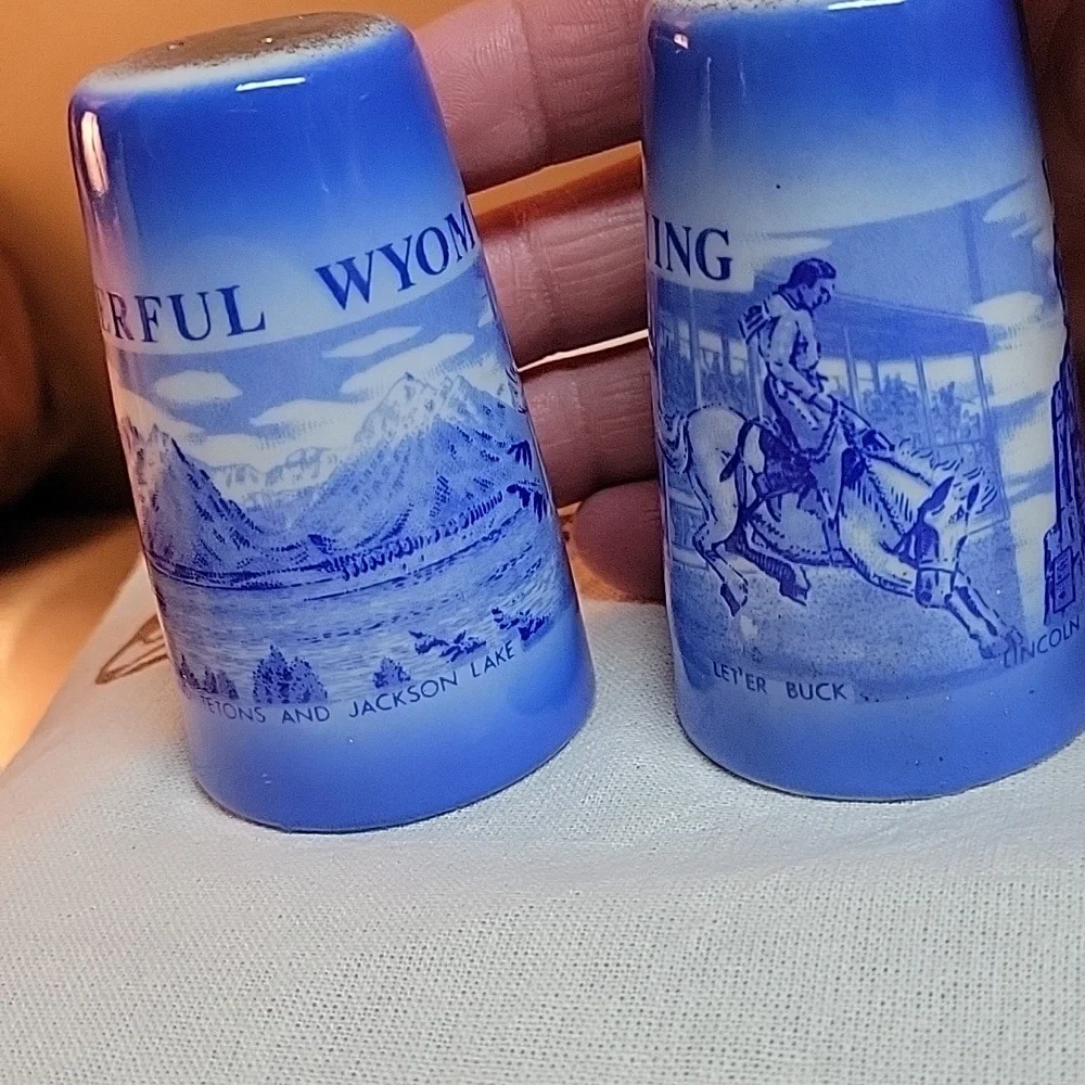 5 For 25.00/Wyoming glass Salt n Pepper Shakers. EUC.Vintage